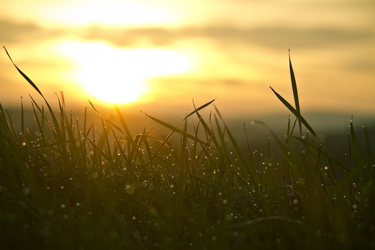 Image by Christoph Schütz from Pixabay