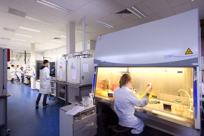 laboratory for Cell and Tissue Engineering