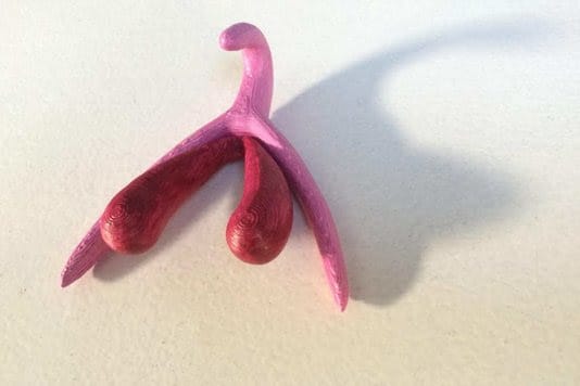  3D model van clitoris, foto CC: Marie Docher