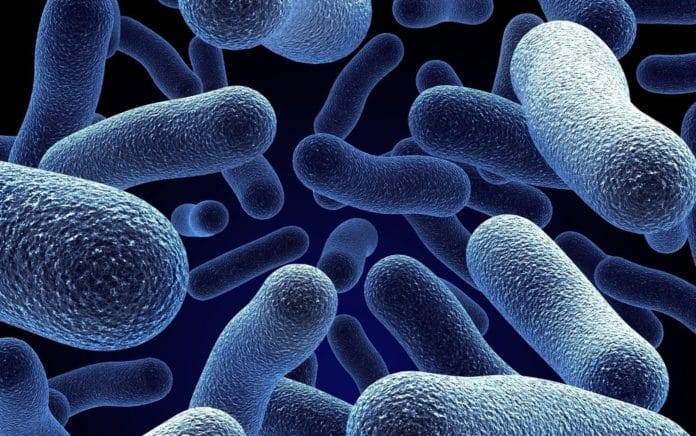 antibiotica